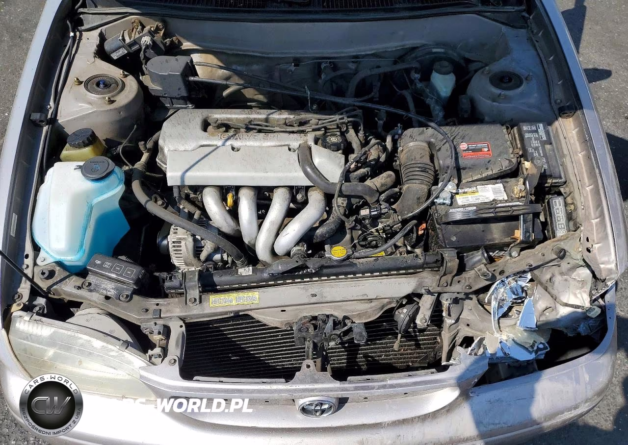 1998 Toyota Corolla Ve VIN:1NXBR18E1WZ071094 - 11