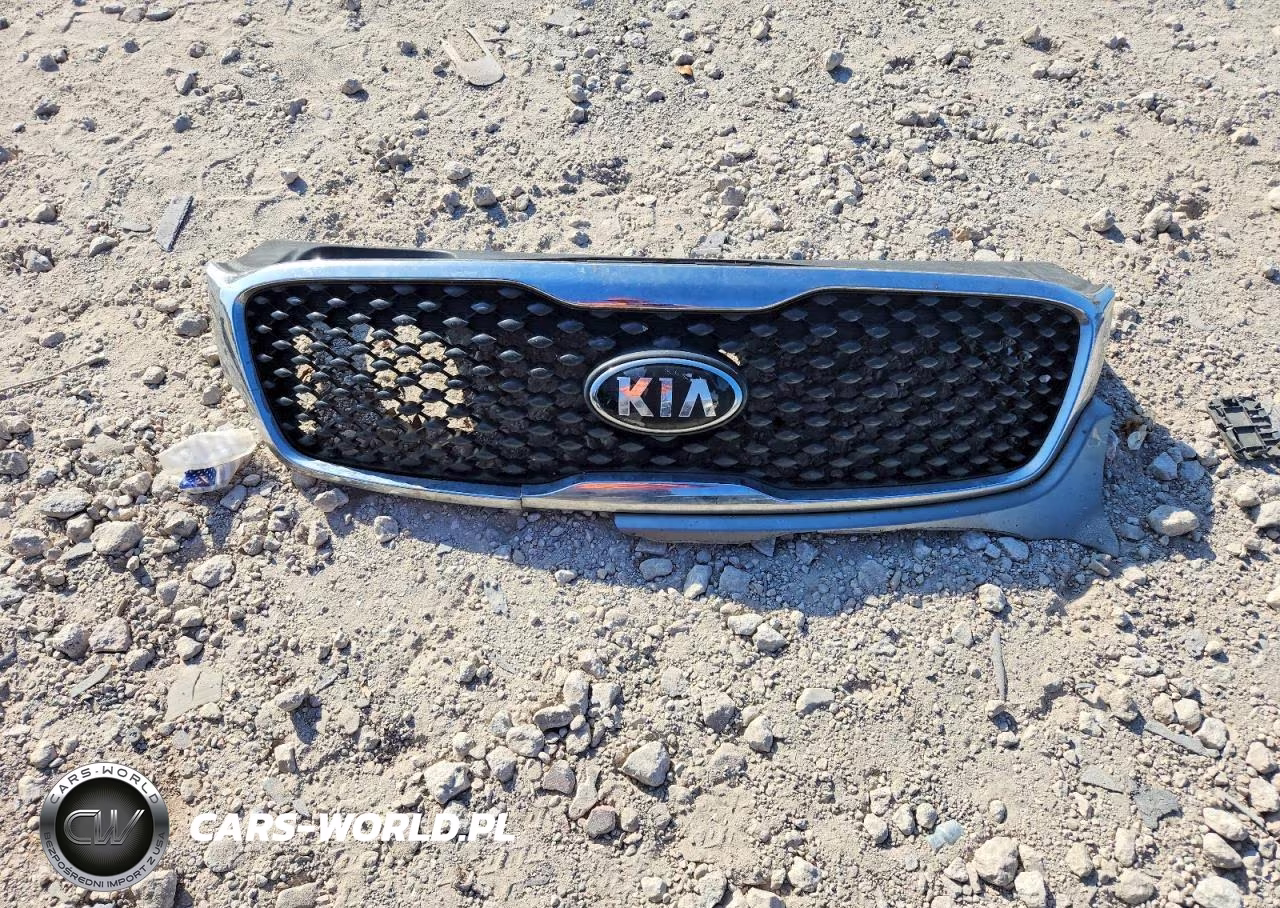 2016 Kia Sorento Lx VIN:5XYPG4A36GG091497 - 13
