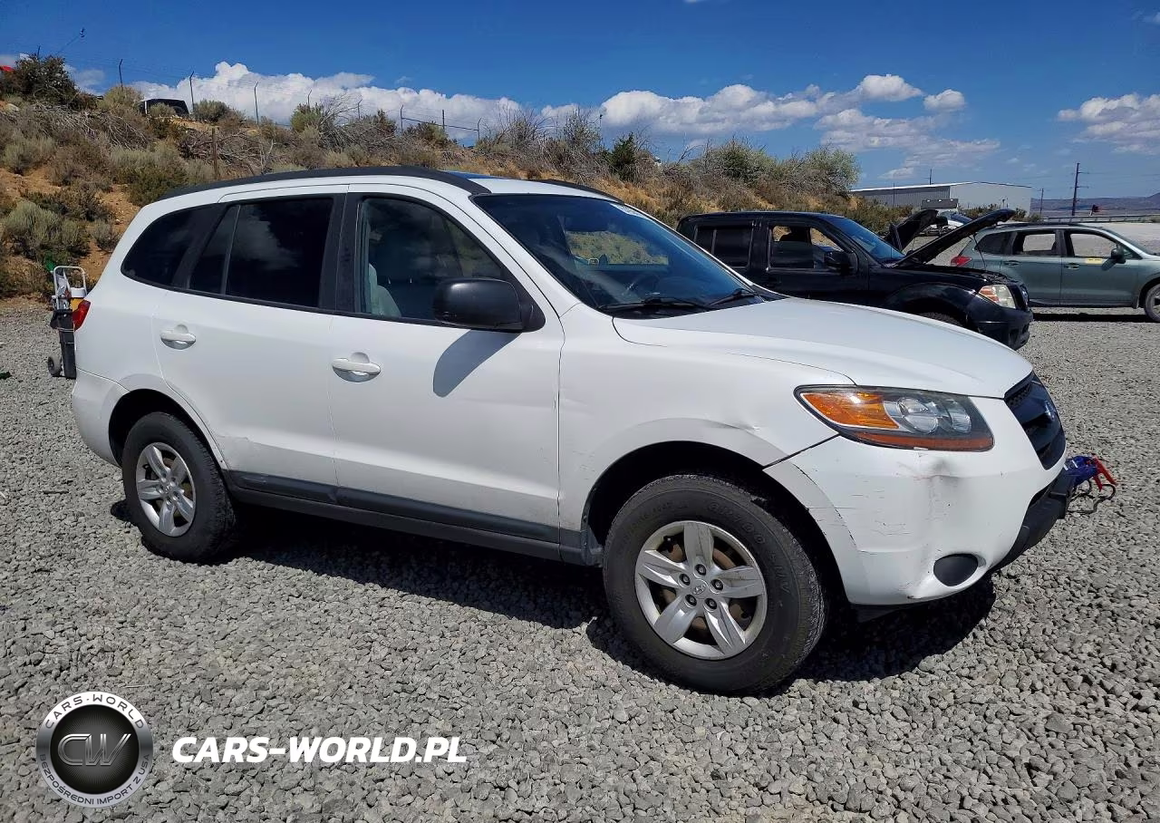 2009 Hyundai Santa Fe Gls VIN:5NMSG73D29H302642 - 4