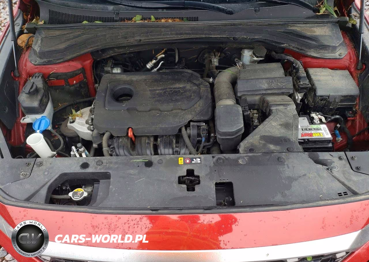 2019 Hyundai Santa Fe Limited 2.4L VIN:5NMS5CAD6KH006935 - 11
