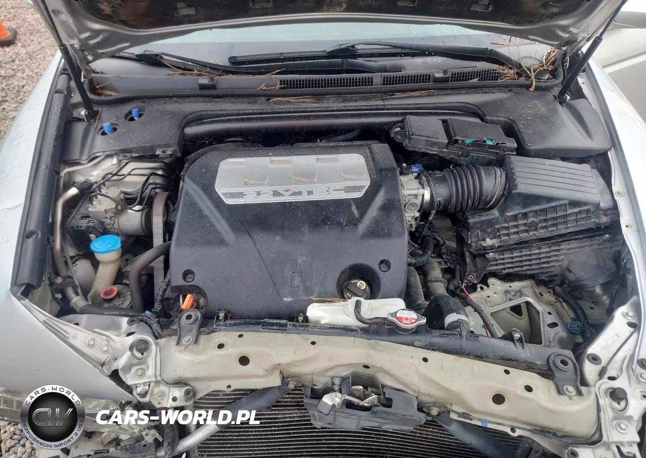 2008 Acura Tl VIN:19UUA66248A048019 - 11