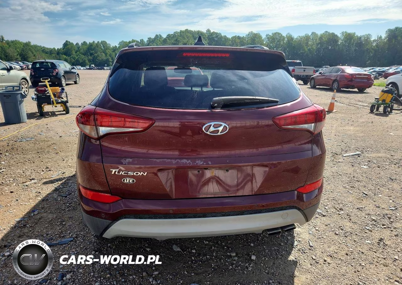 2018 Hyundai Tucson Value VIN:KM8J33A25JU618479 - 6