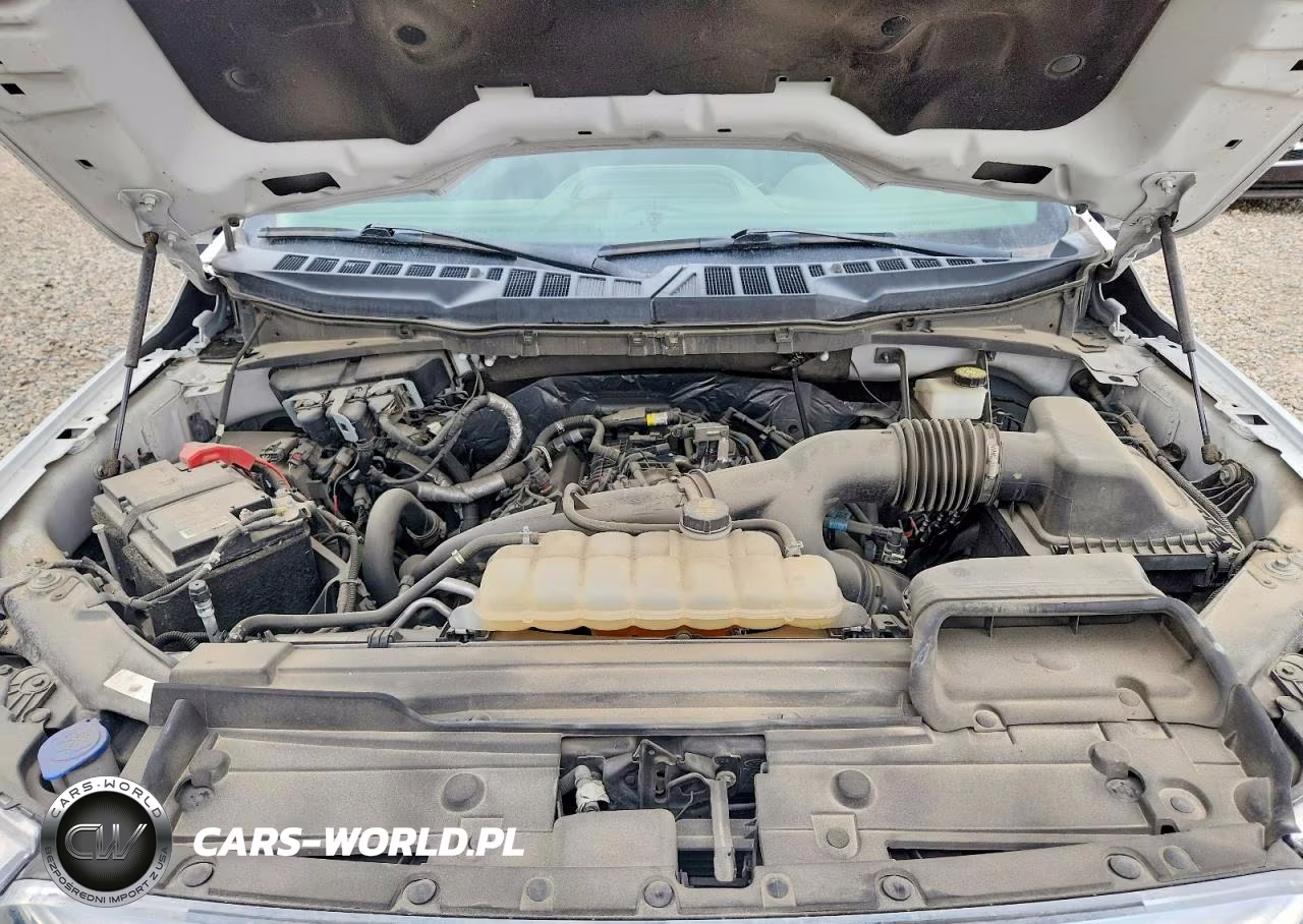 2021 Ford F150 VIN:1FTMF1EP8MKE93965 - 11
