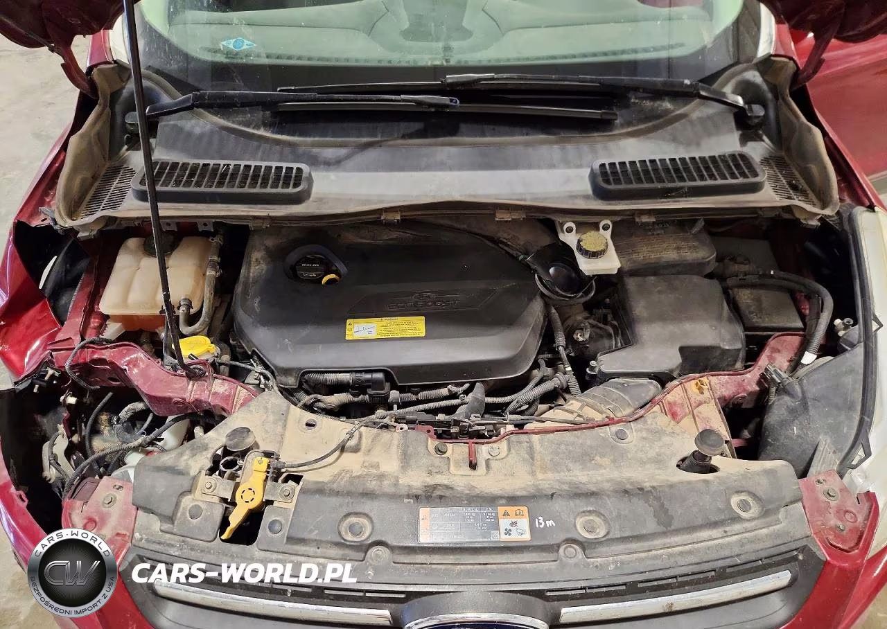 2014 Ford Escape Se VIN:1FMCU0GX8EUB30849 - 12