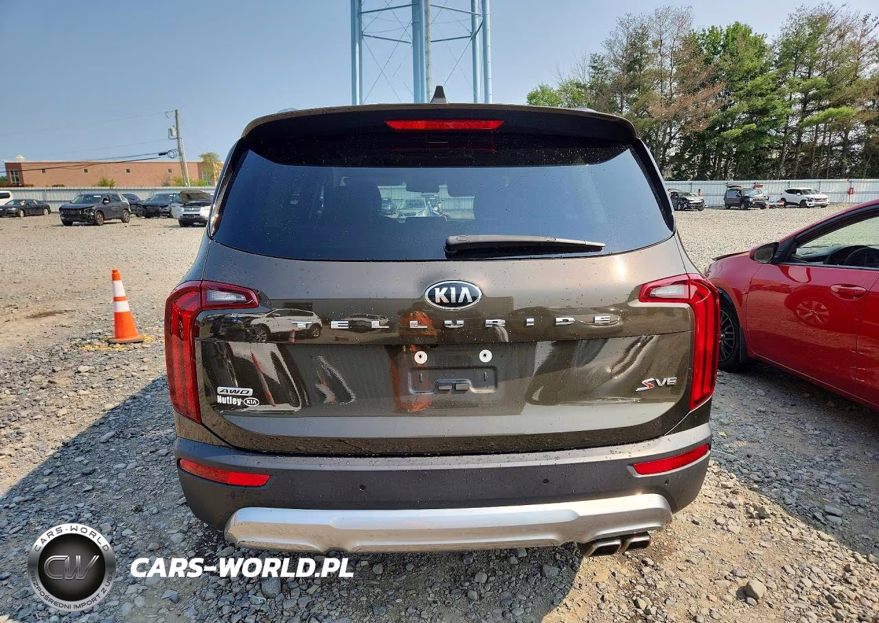2020 Kia Telluride S VIN:5XYP6DHC3LG081254 - 6