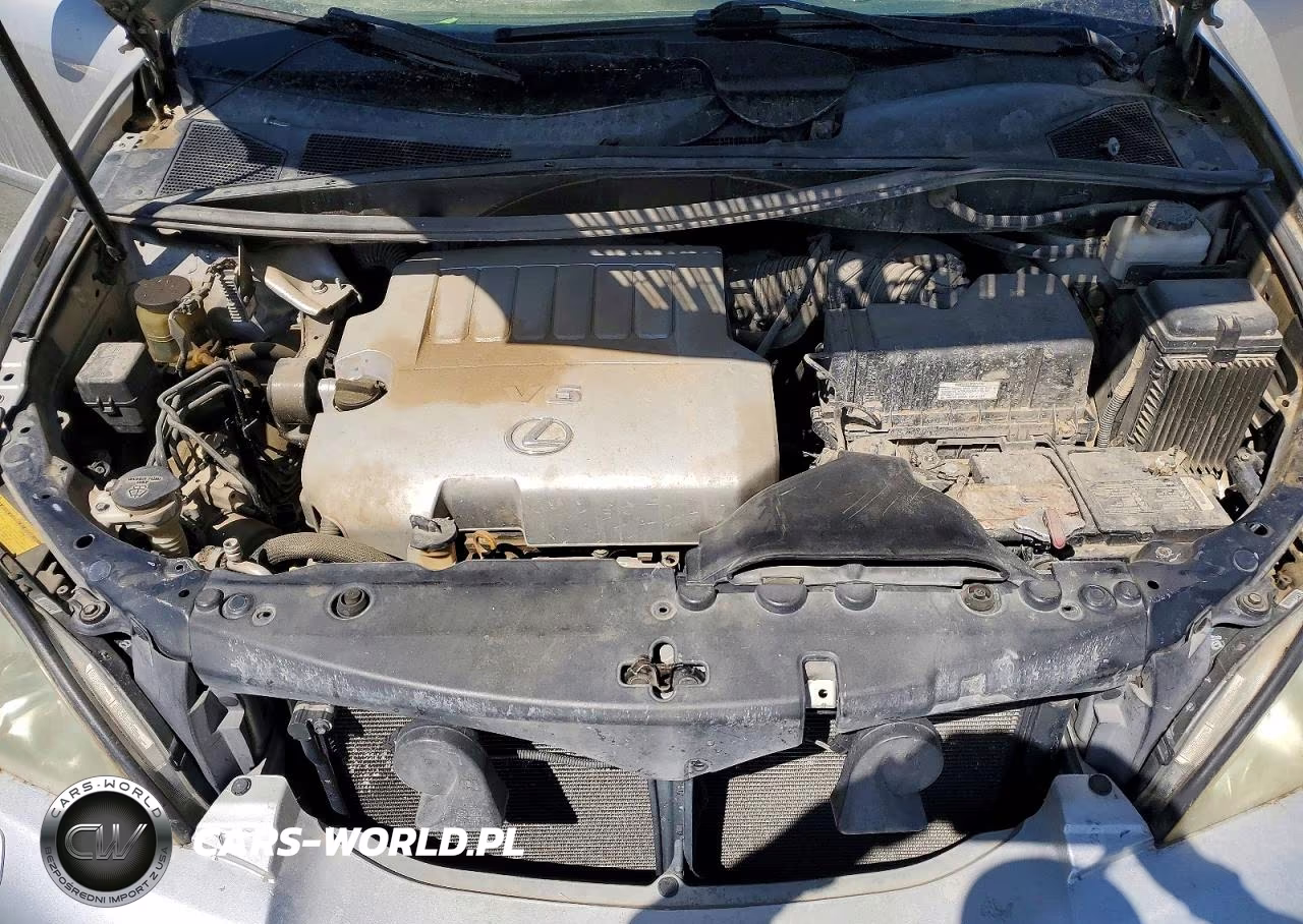 2007 Lexus Rx 350 VIN:2T2HK31U27C036669 - 12