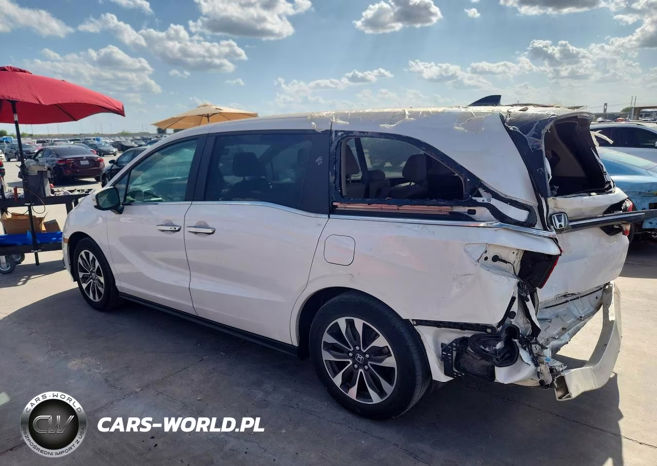 2024 Honda Odyssey Ex-L VIN:5FNRL6H62RB005838 - 2