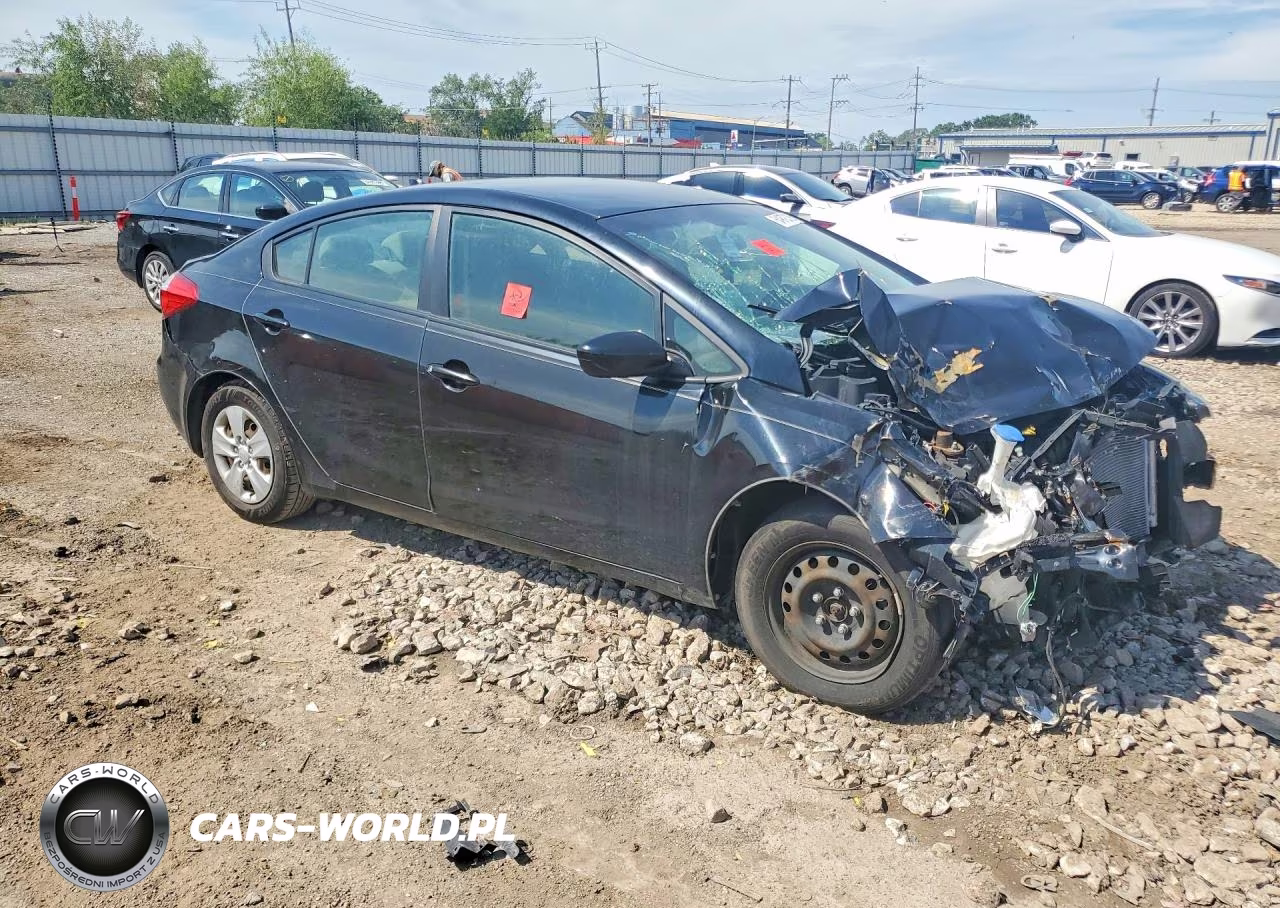 2014 Kia Forte Lx VIN:KNAFK4A6XE5093695 - 4