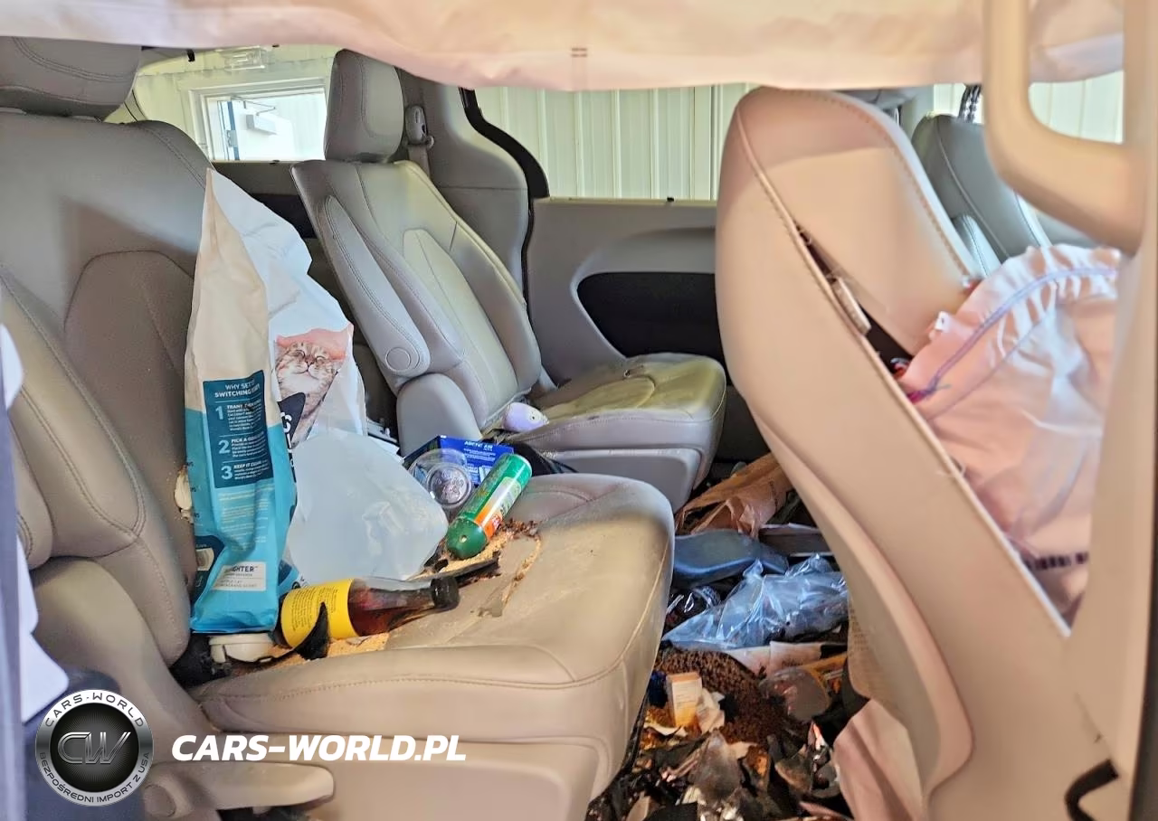 2018 Chrysler Pacifica Hybrid Touring L VIN:2C4RC1L78JR133495 - 11