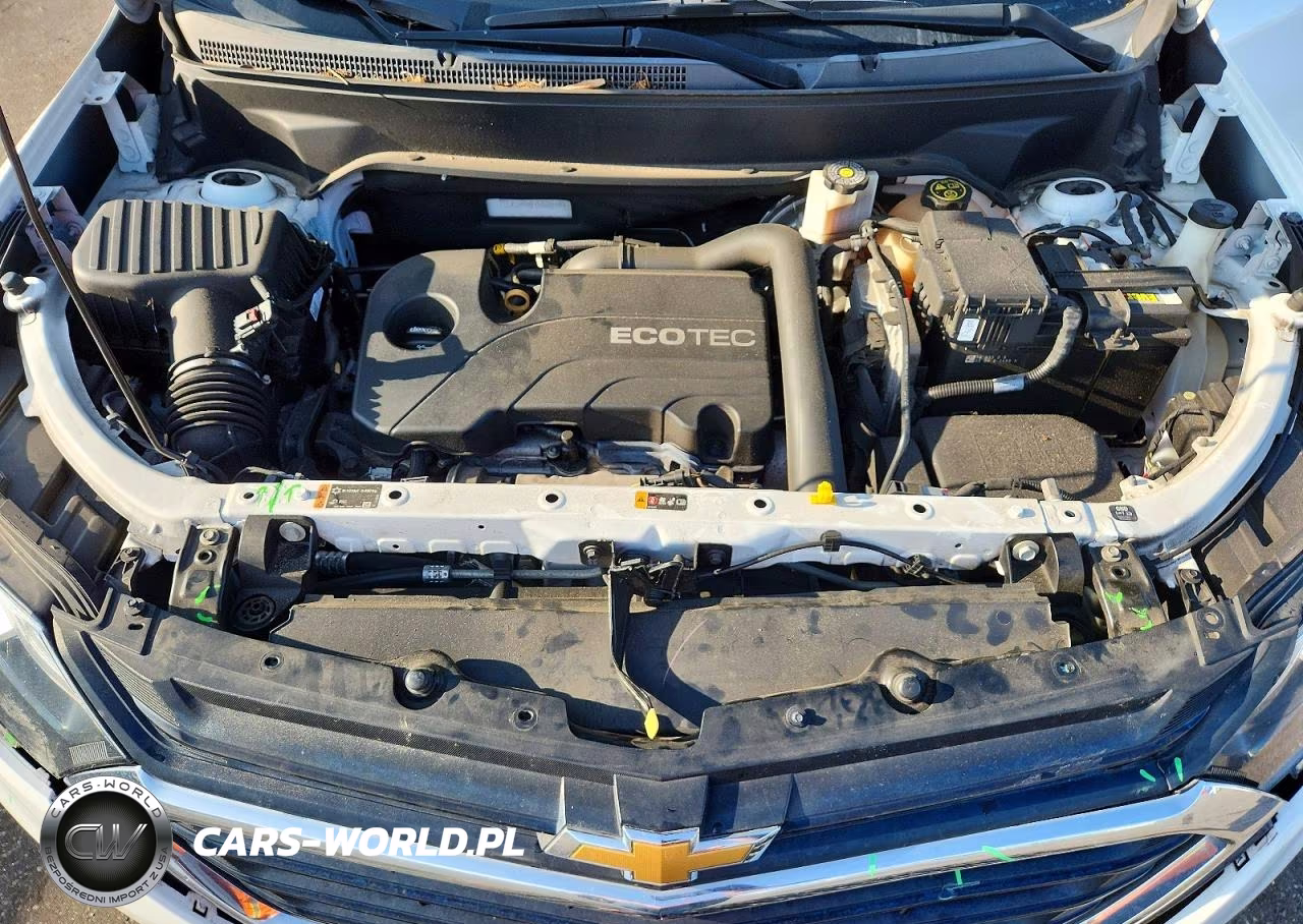 2019 Chevrolet Equinox Lt VIN:2GNAXKEV3K6204258 - 12