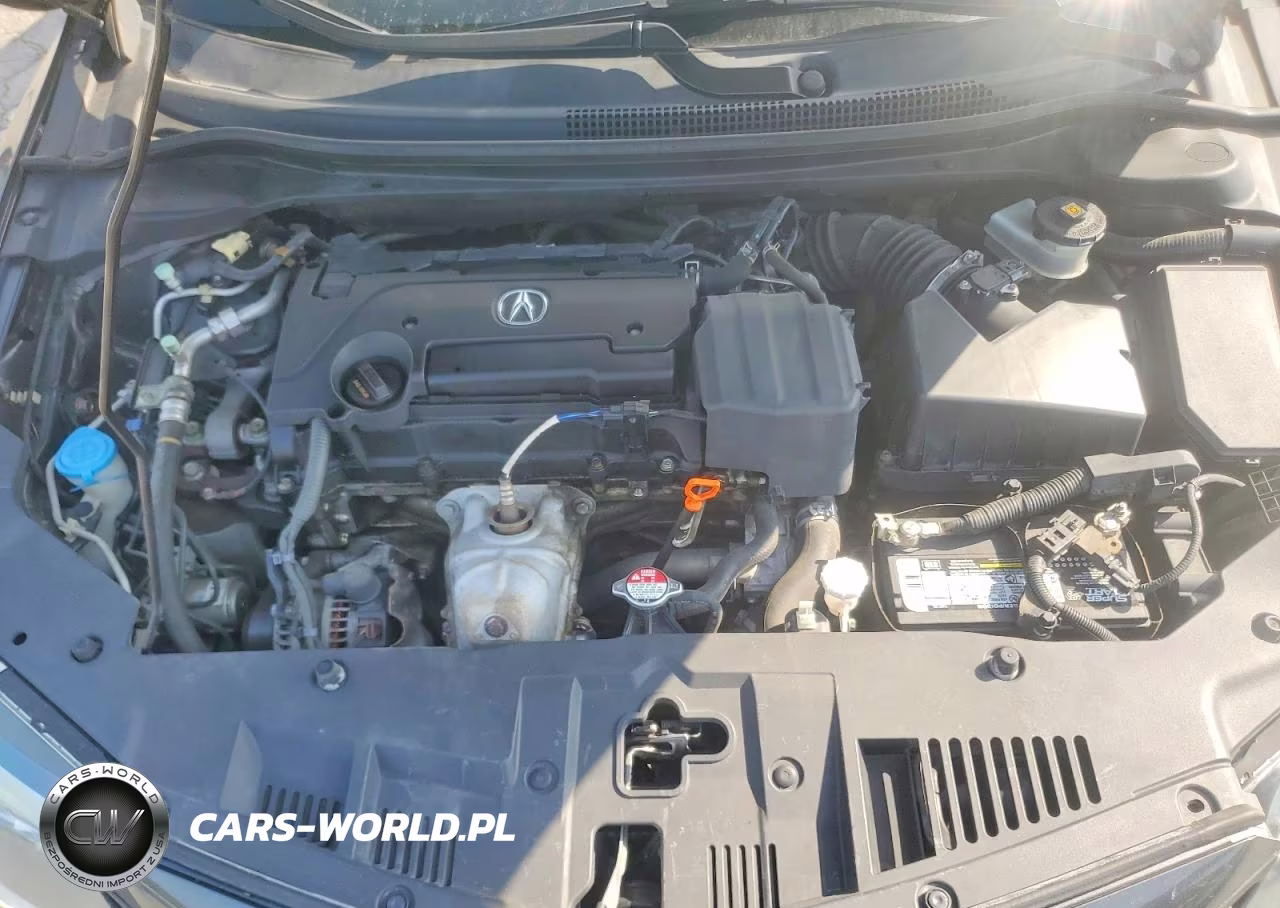 2016 Acura Ilx Premium VIN:19UDE2F75GA009043 - 11