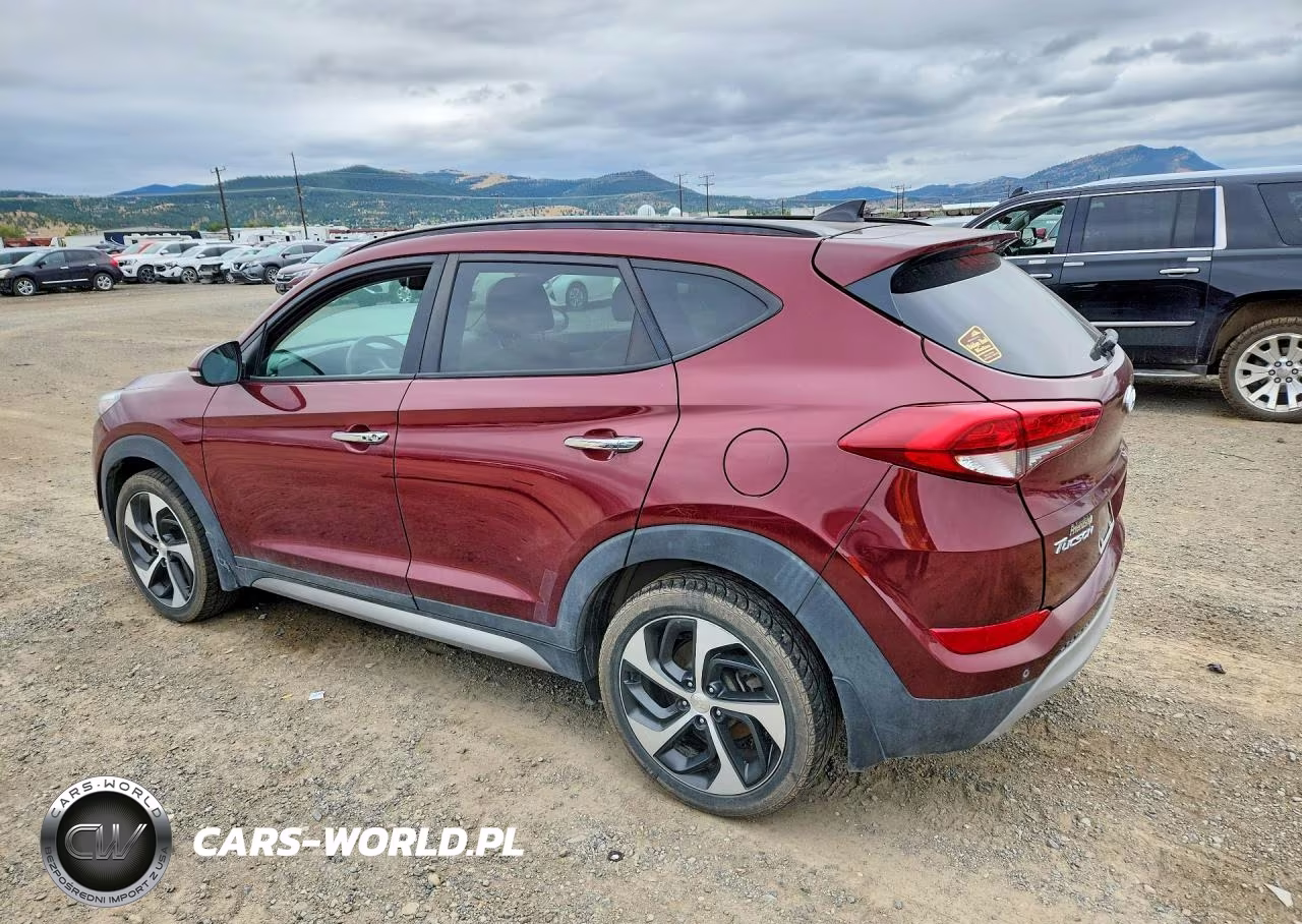 2017 Hyundai Tucson Limited VIN:KM8J3CA25HU319147 - 2