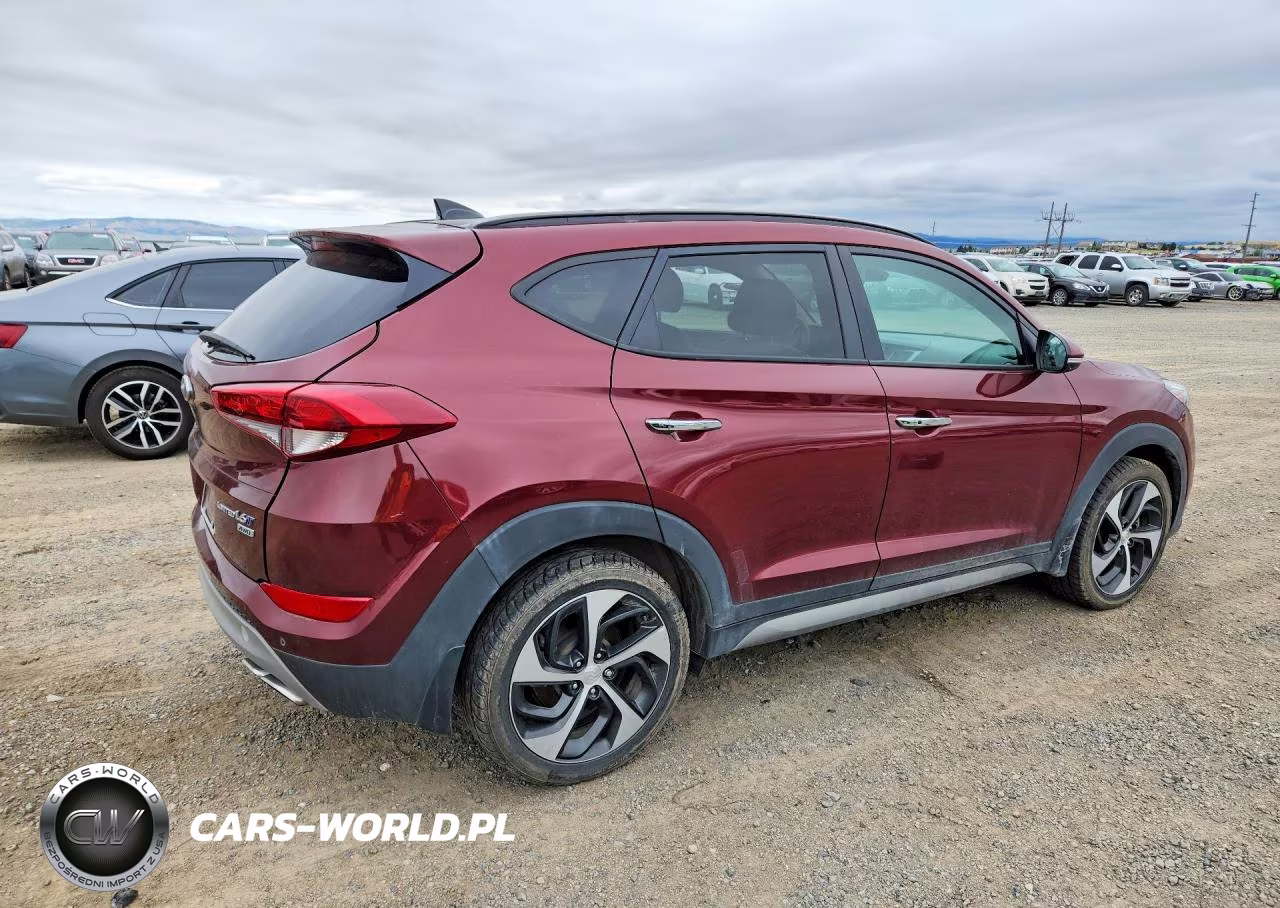 2017 Hyundai Tucson Limited VIN:KM8J3CA25HU319147 - 3