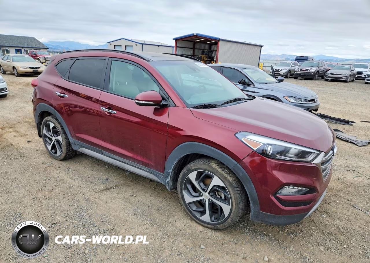 2017 Hyundai Tucson Limited VIN:KM8J3CA25HU319147 - 4