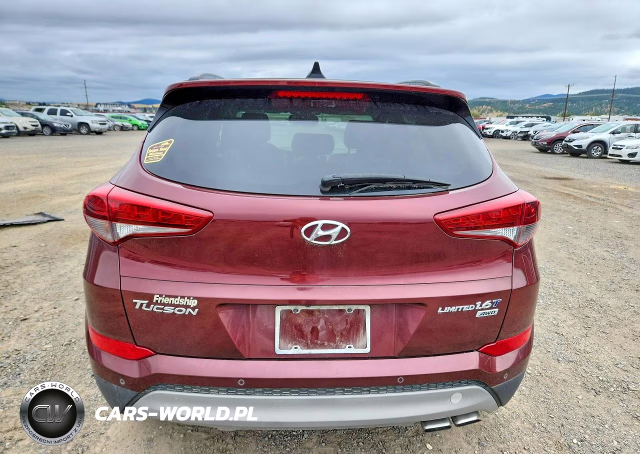 2017 Hyundai Tucson Limited VIN:KM8J3CA25HU319147 - 6