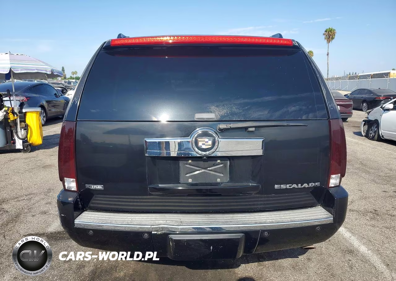 2009 Cadillac Escalade Esv Luxury VIN:1GYFK26239R206957 - 6