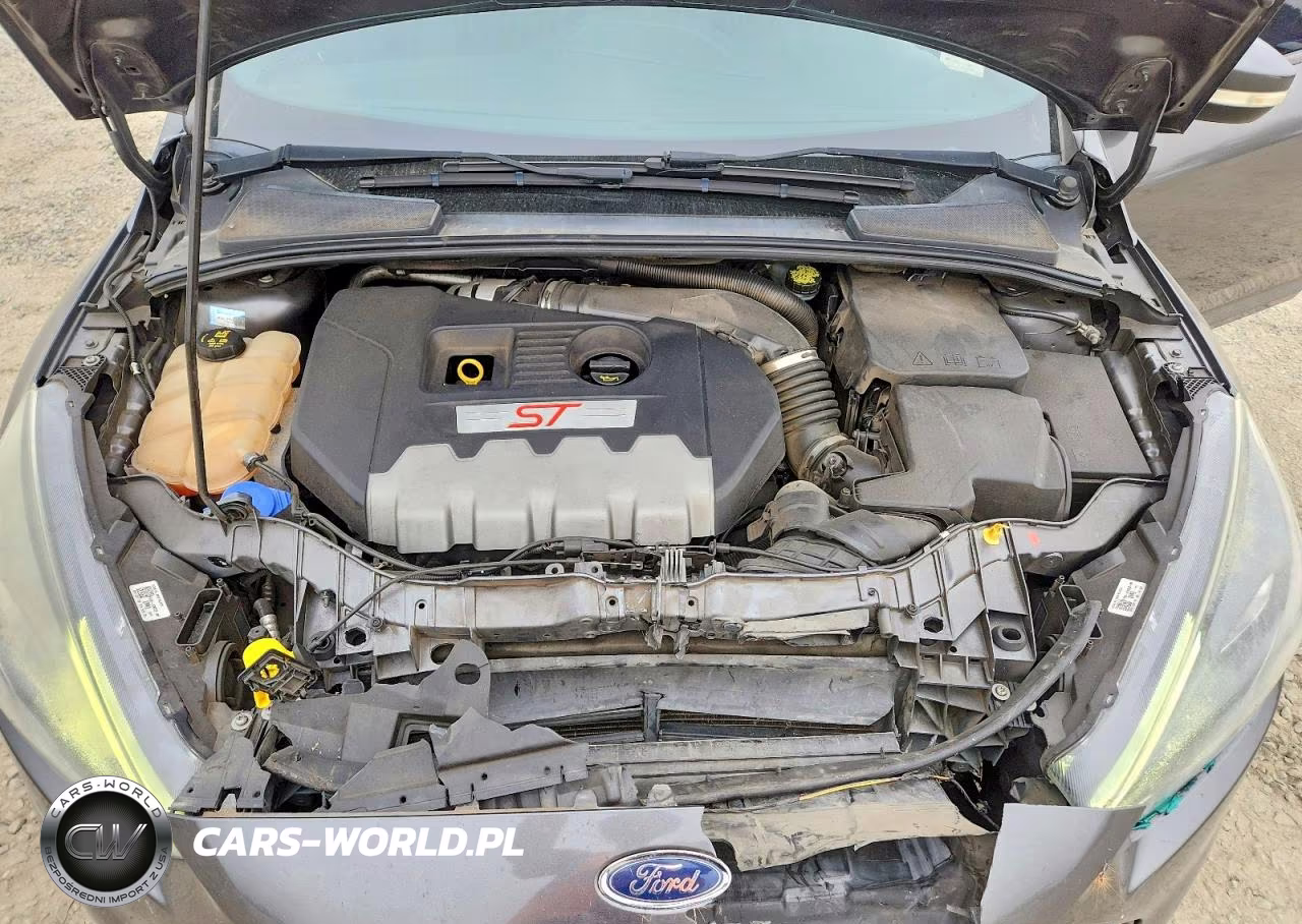 2017 Ford Focus St VIN:1FADP3L9XHL292832 - 11