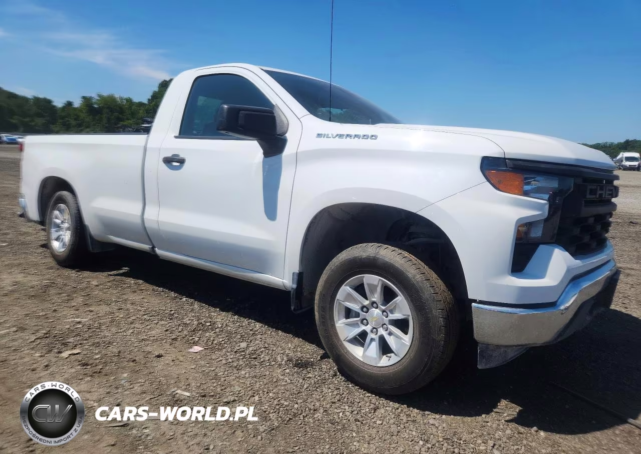 2023 Chevrolet Silverado C1500 VIN:3GCNAAED0PG217316 - 4