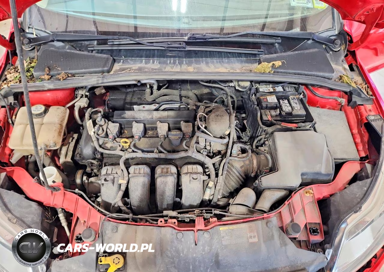 2013 Ford Focus Se VIN:1FADP3K28DL348510 - 11