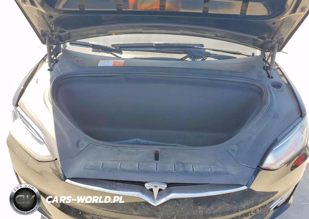 2018 Tesla Model X VIN:5YJXCDE20JF119631 - 11