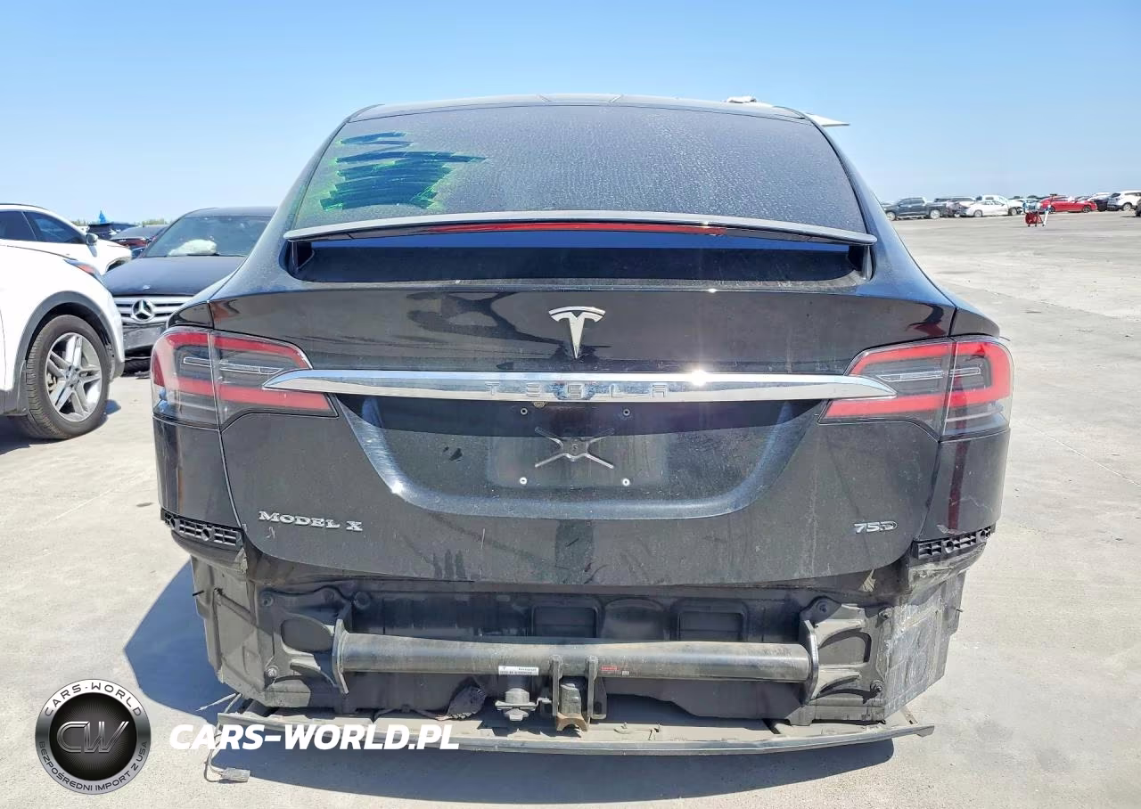 2018 Tesla Model X VIN:5YJXCDE20JF119631 - 6