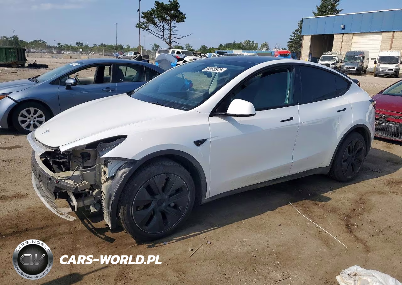 2024 Tesla Model Y VIN:7SAYGDEE9RF129057 - 1