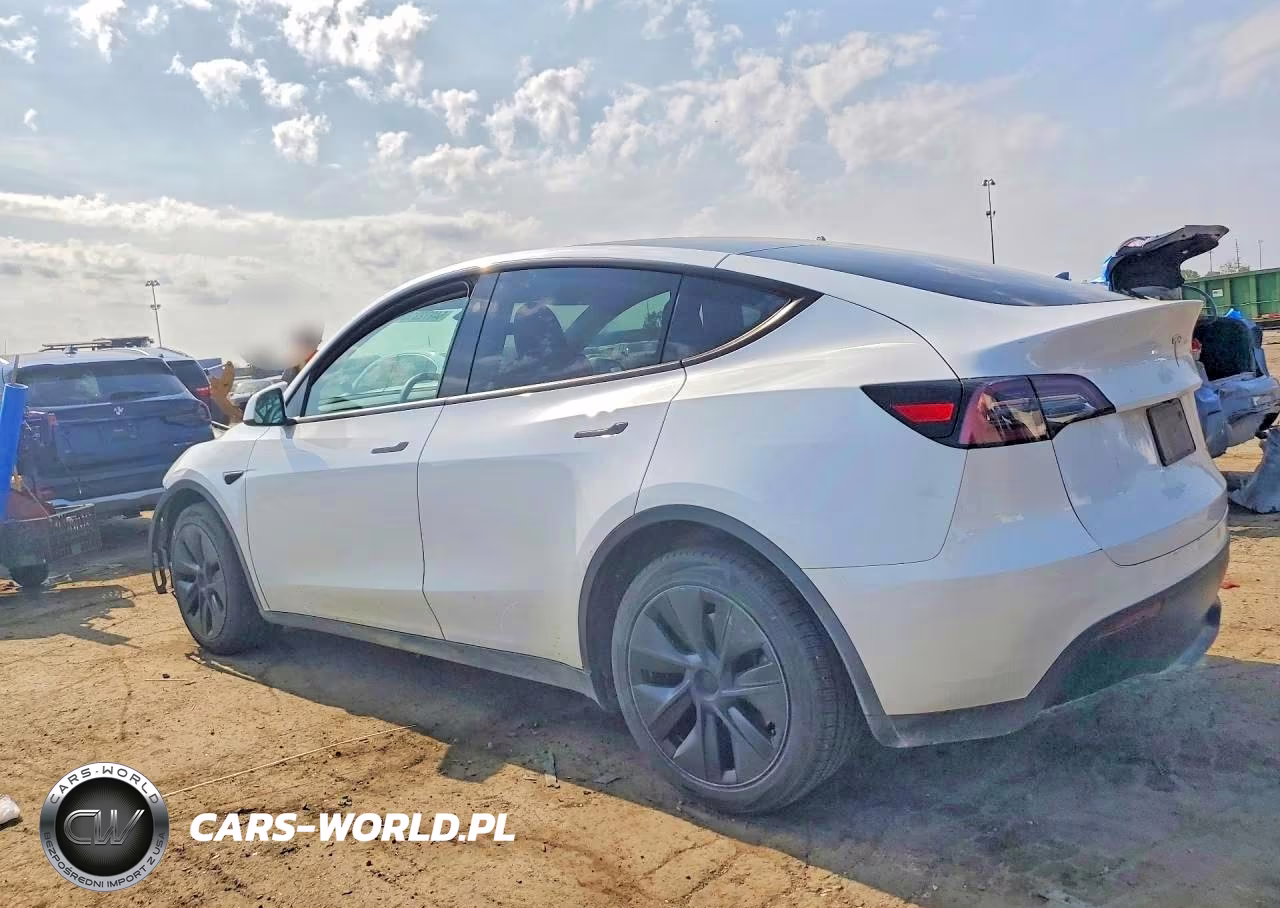 2024 Tesla Model Y VIN:7SAYGDEE9RF129057 - 2