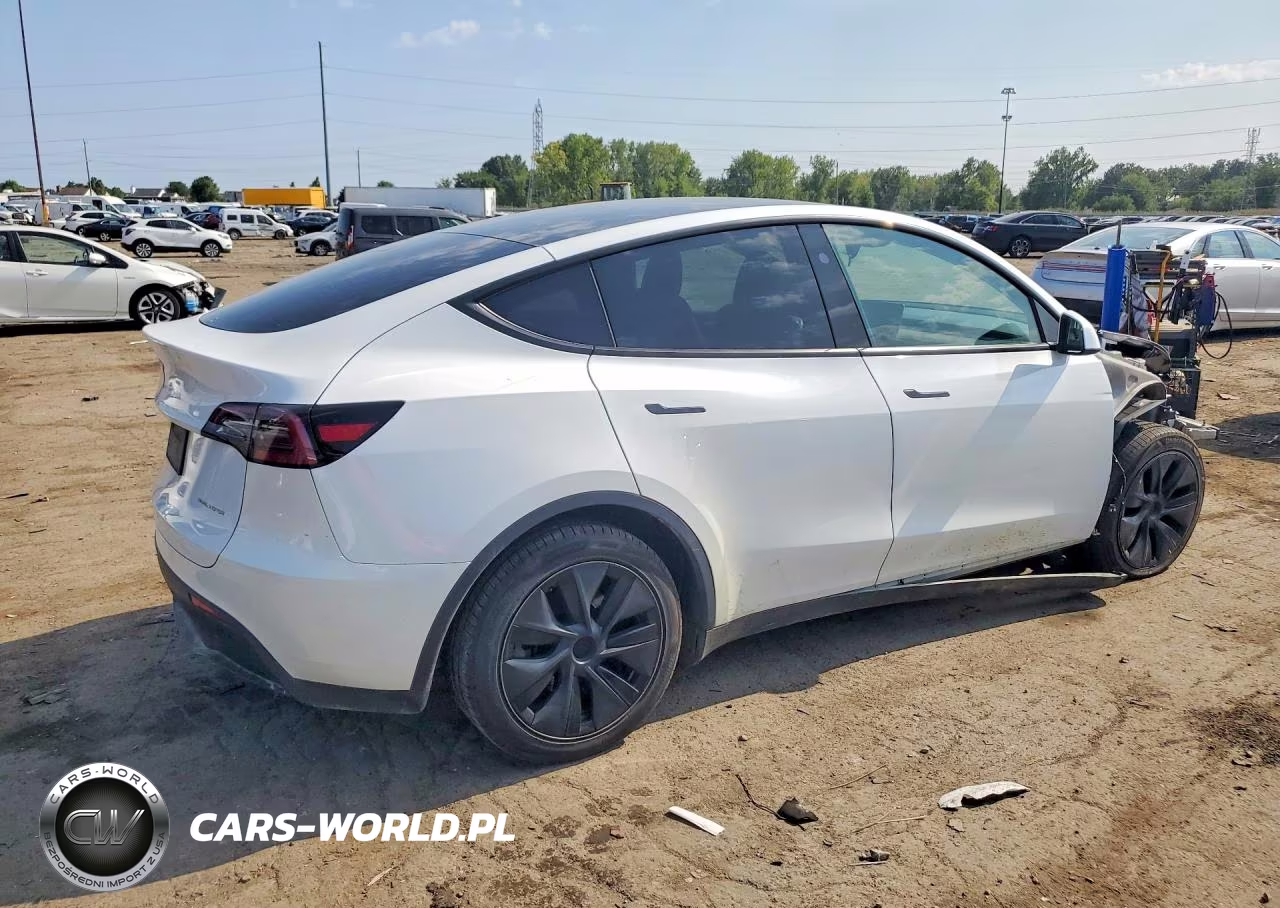 2024 Tesla Model Y VIN:7SAYGDEE9RF129057 - 3
