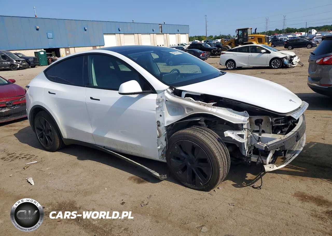2024 Tesla Model Y VIN:7SAYGDEE9RF129057 - 4