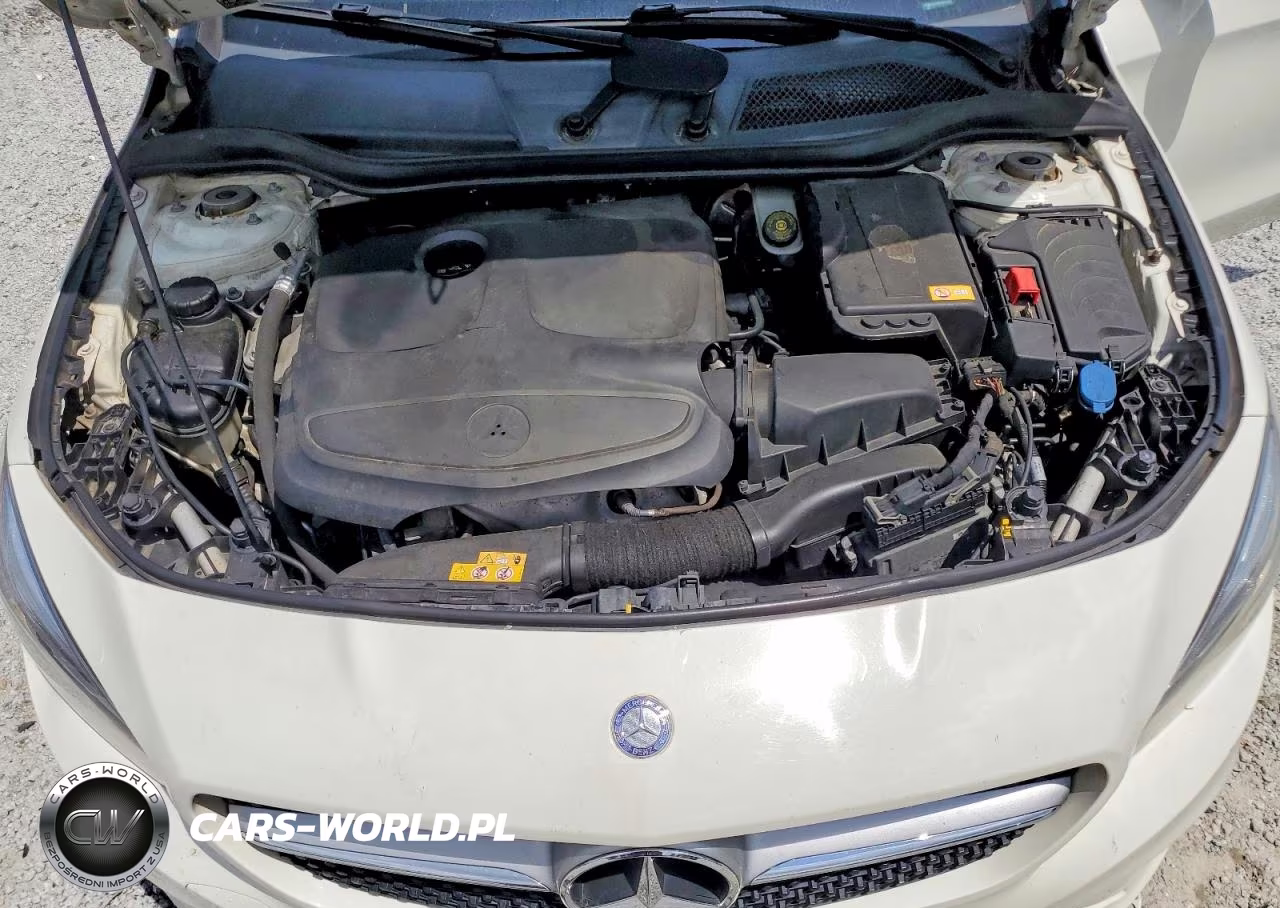 2014 Mercedes-Benz Cla 250 VIN:WDDSJ4EB8EN043024 - 11
