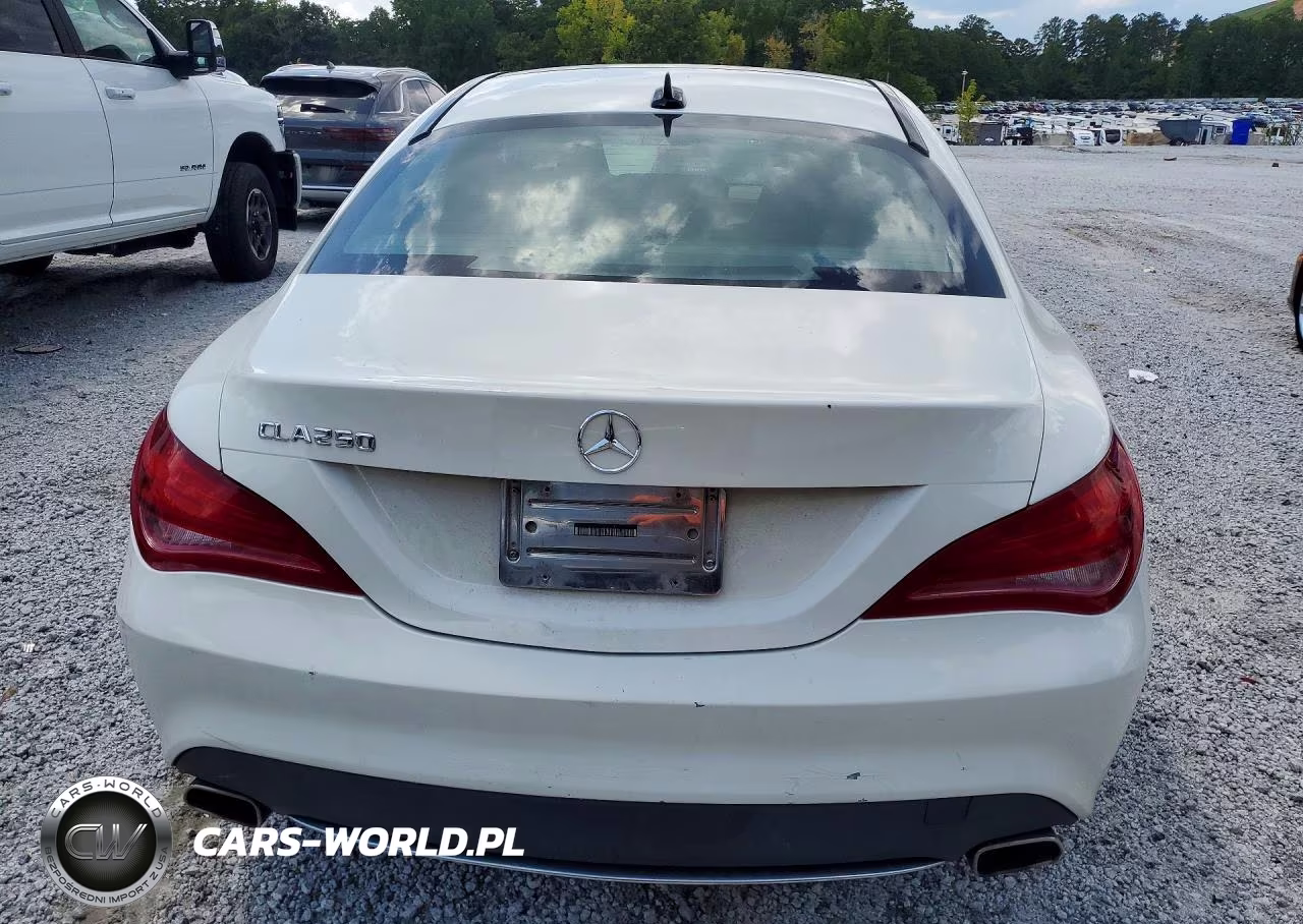 2014 Mercedes-Benz Cla 250 VIN:WDDSJ4EB8EN043024 - 6