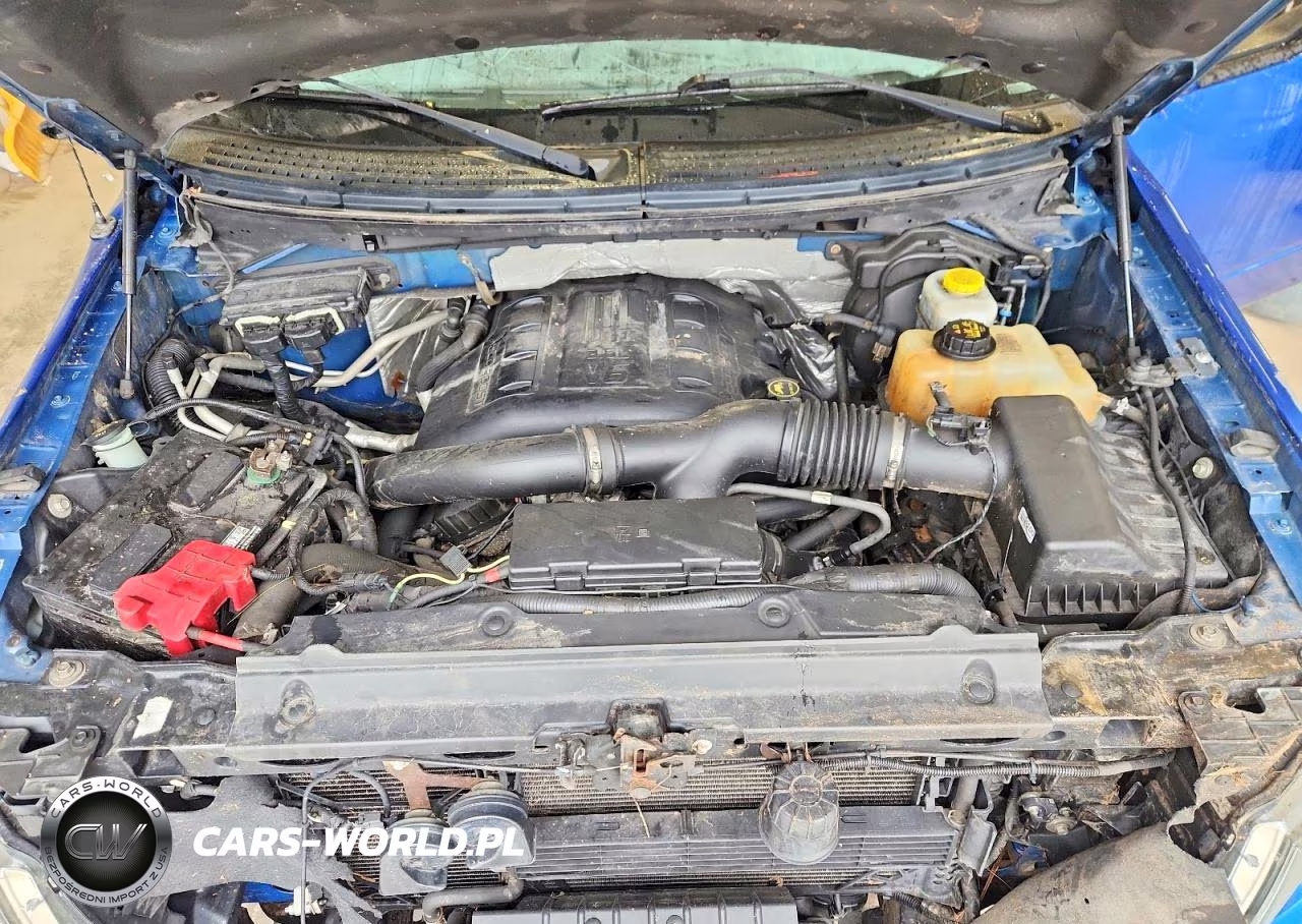 2014 Ford F150 Supercrew VIN:1FTFW1ET8EKF60295 - 11