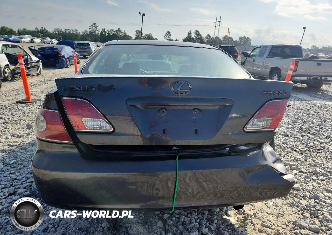 2004 LEXUS ES 330 VIN:JTHBA30G145052409 - 6