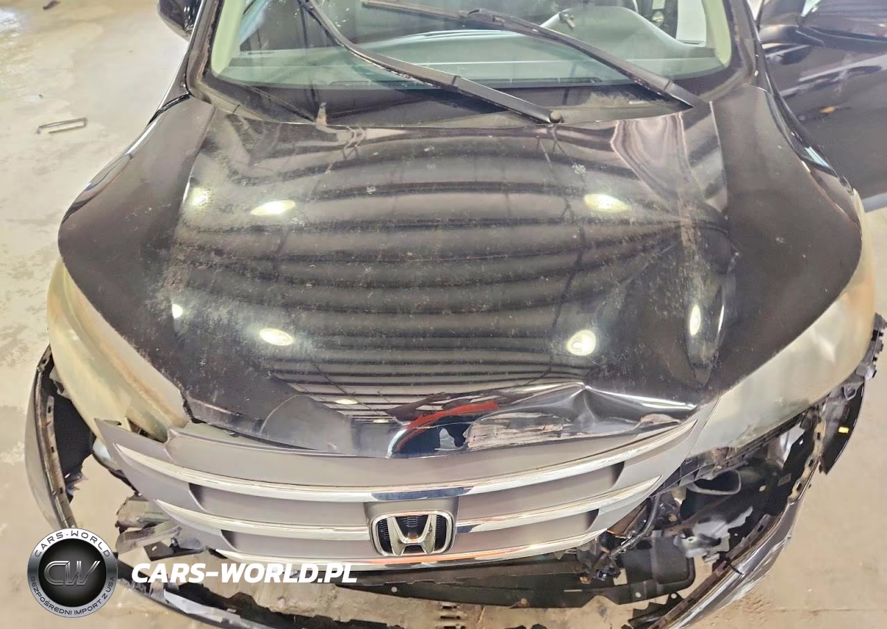 2014 Honda Cr-V Exl VIN:5J6RM4H70EL106419 - 12