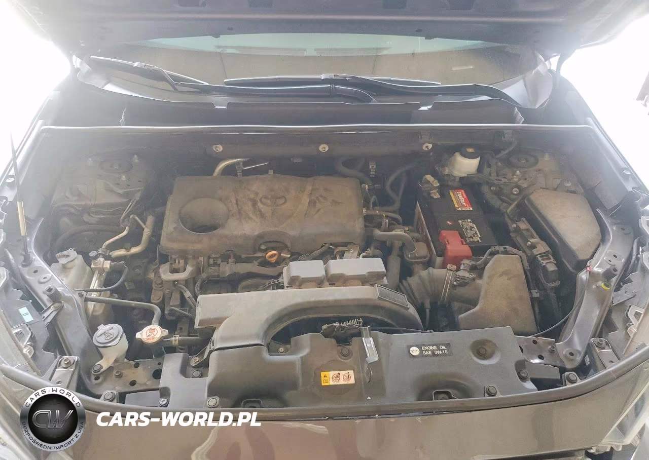 2019 Toyota Rav4 Le VIN:2T3G1RFV6KW062424 - 12