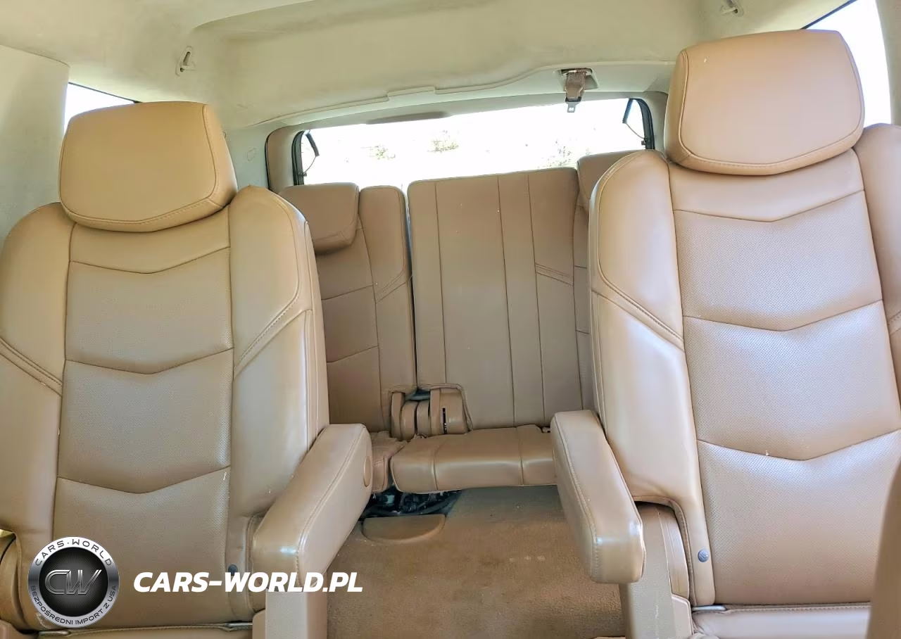 2016 Cadillac Escalade Platinum VIN:1GYS4DKJXGR141068 - 10