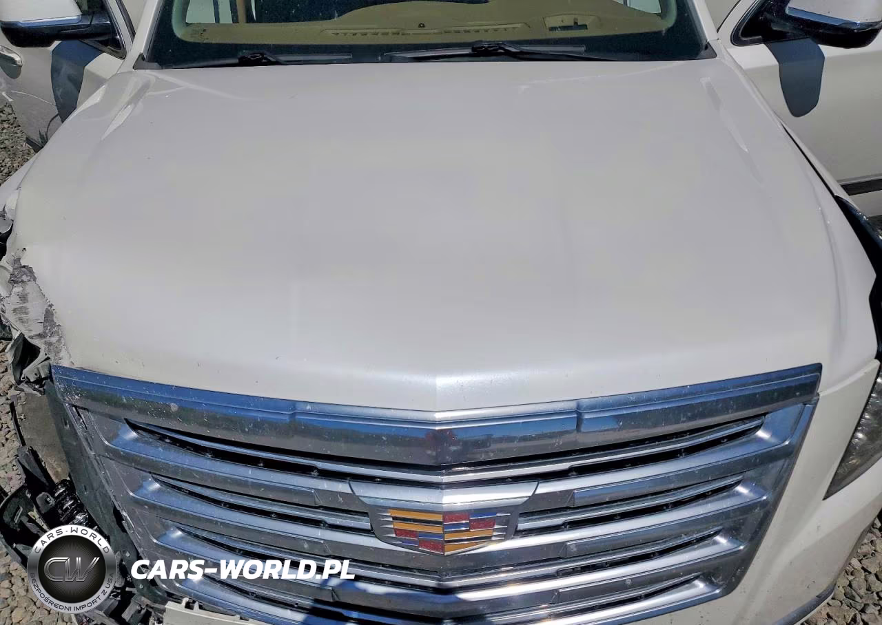 2016 Cadillac Escalade Platinum VIN:1GYS4DKJXGR141068 - 12