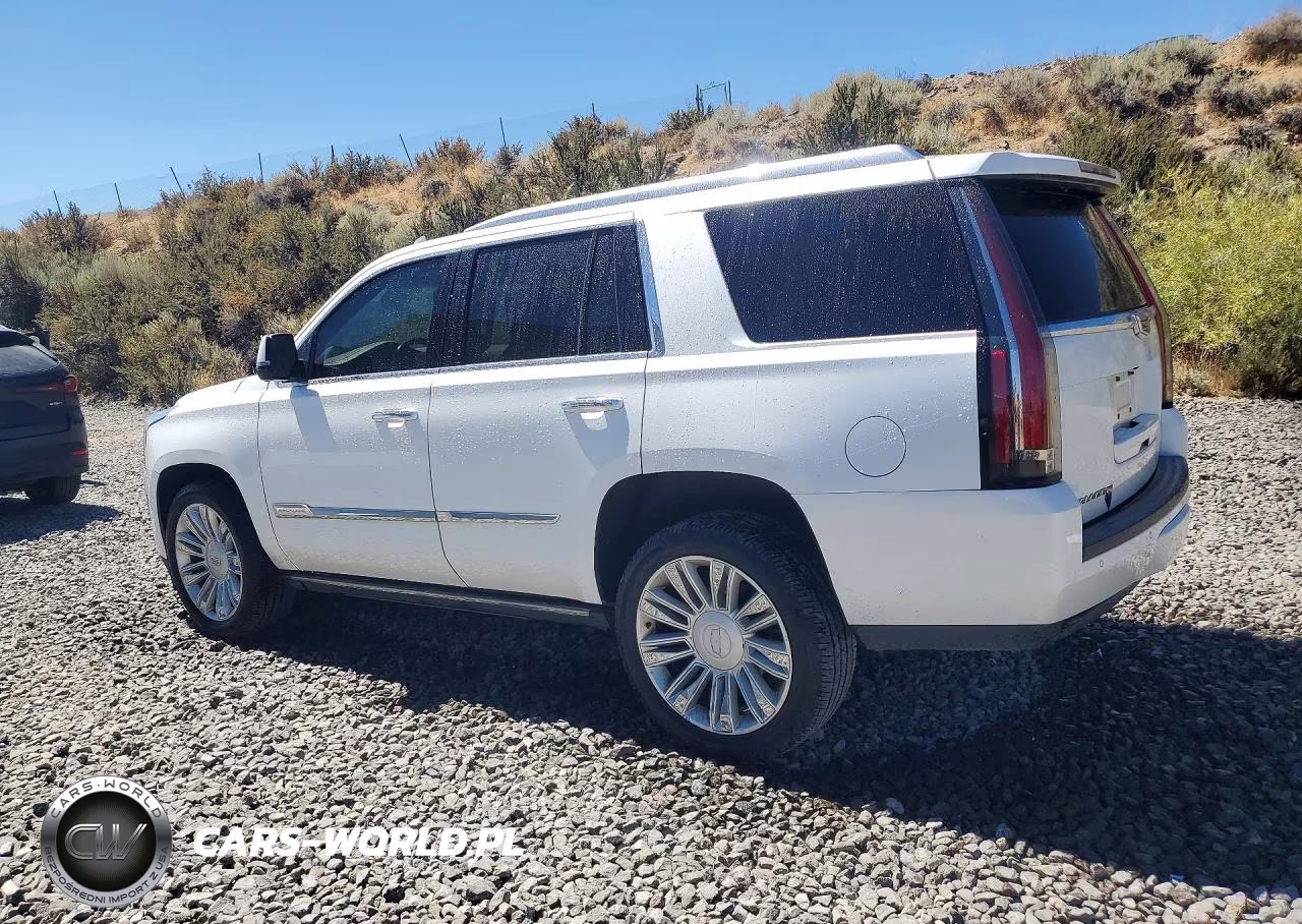 2016 Cadillac Escalade Platinum VIN:1GYS4DKJXGR141068 - 2