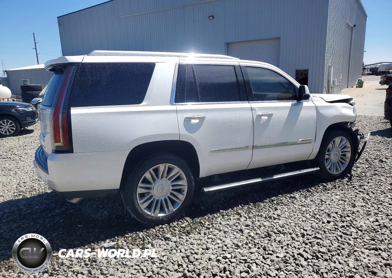 2016 Cadillac Escalade Platinum VIN:1GYS4DKJXGR141068 - 3