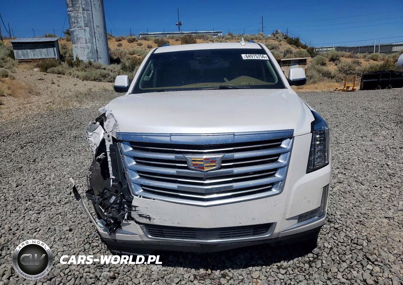 2016 Cadillac Escalade Platinum VIN:1GYS4DKJXGR141068 - 5