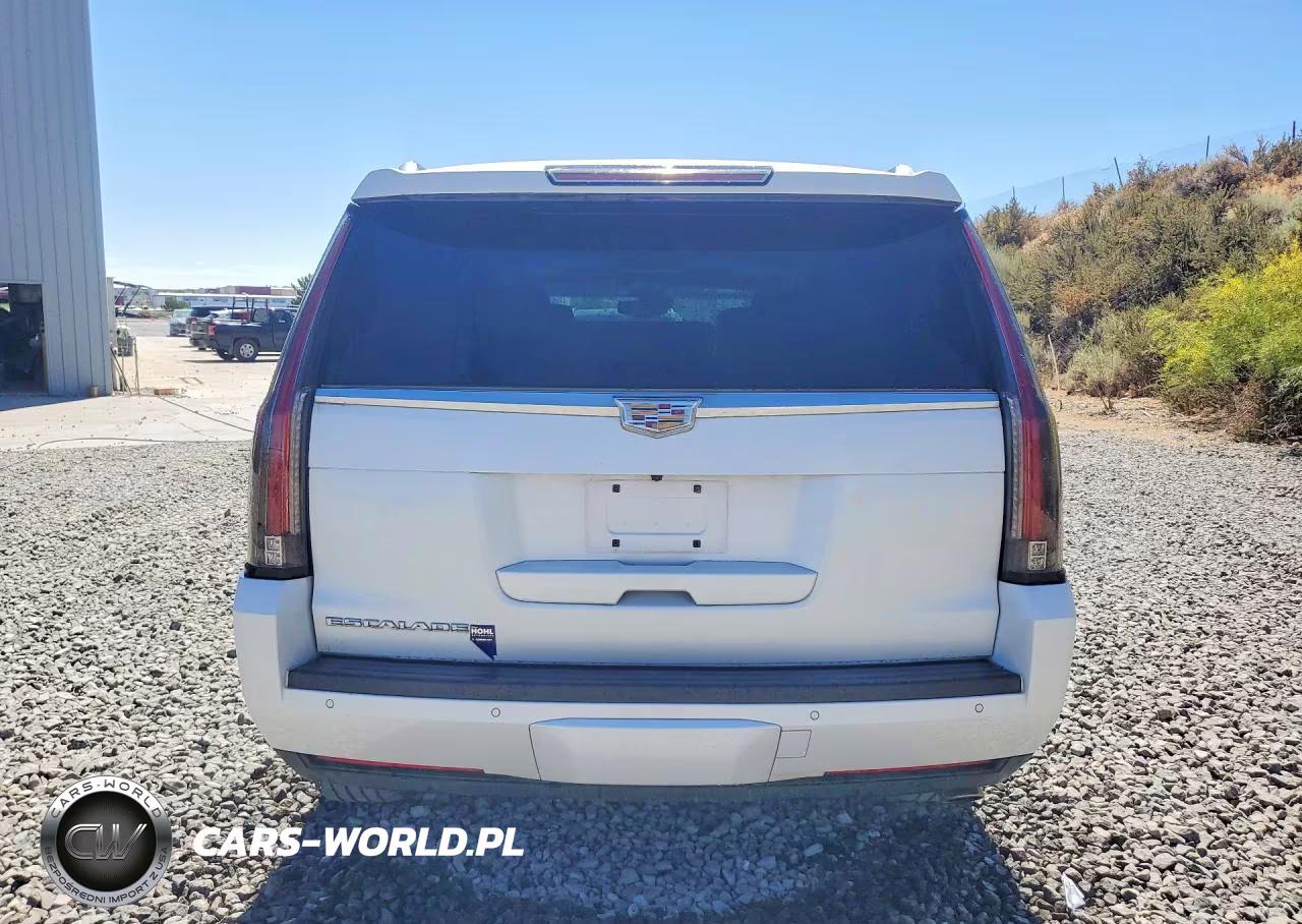 2016 Cadillac Escalade Platinum VIN:1GYS4DKJXGR141068 - 6