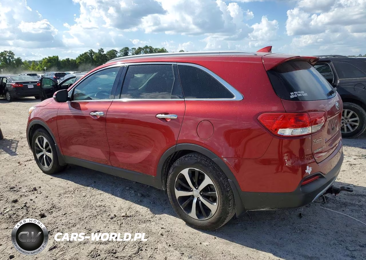 2017 Kia Sorento Ex VIN:5XYPH4A51HG232430 - 2