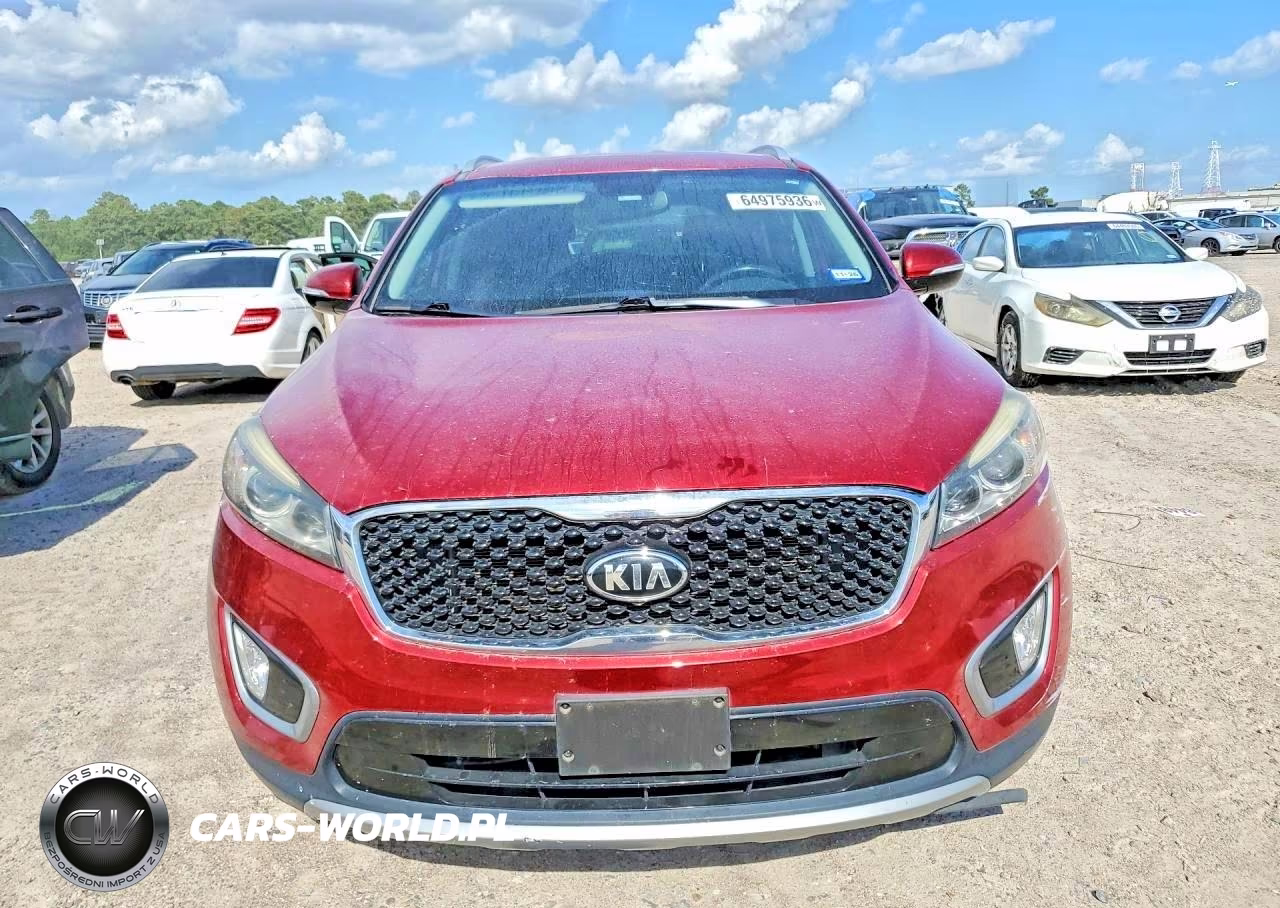 2017 Kia Sorento Ex VIN:5XYPH4A51HG232430 - 5