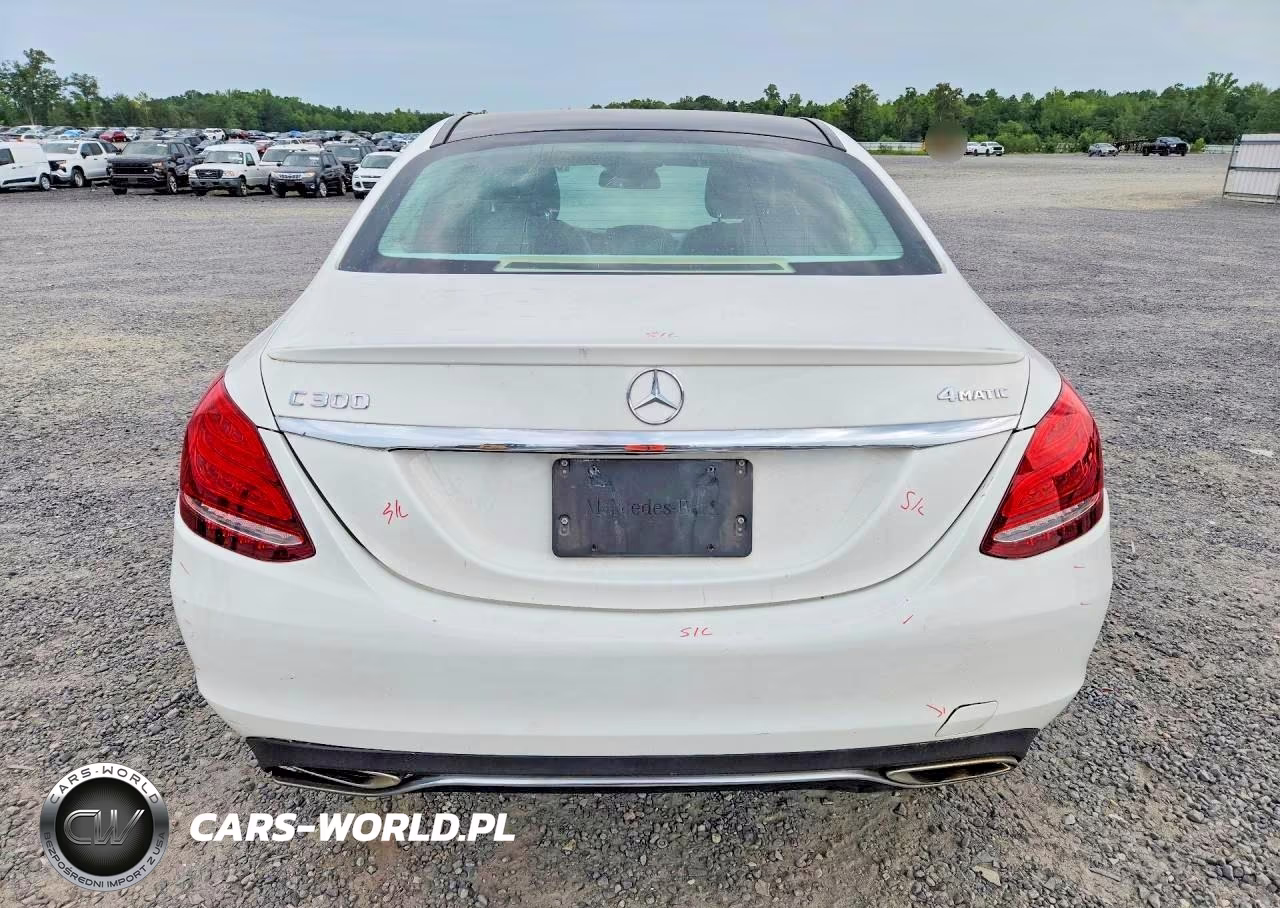 2017 Mercedes-Benz C 300 4Matic VIN:55SWF4KB6HU196147 - 6