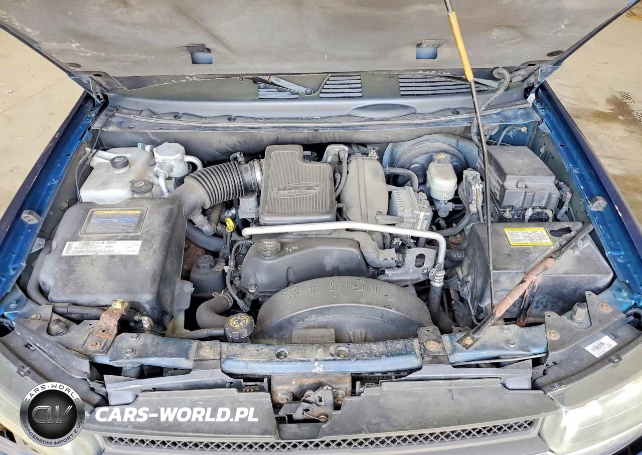 2004 Chevrolet Trailblazer Ls VIN:1GNDT13S142440385 - 12