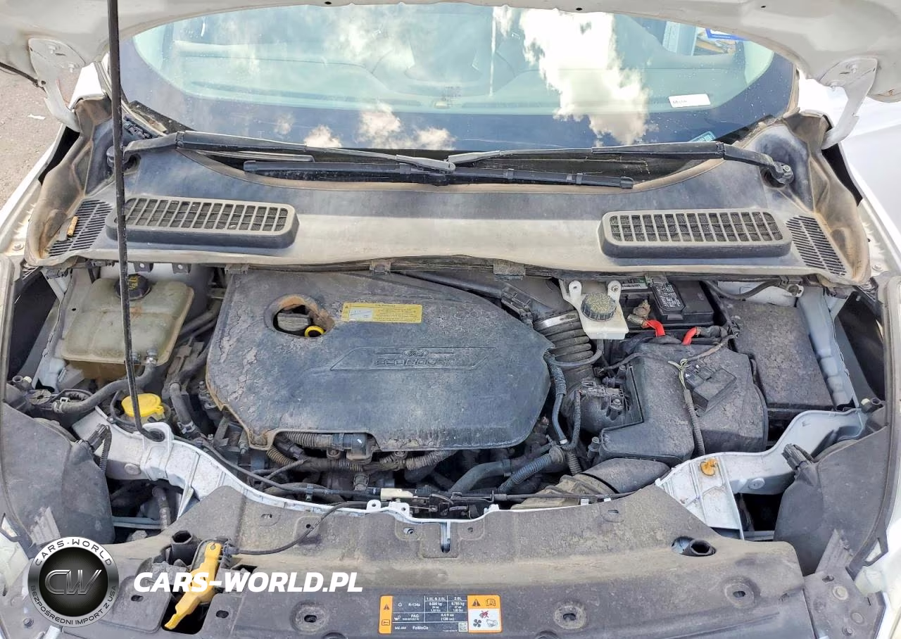 2013 Ford Escape Se VIN:1FMCU0GX0DUD86059 - 12
