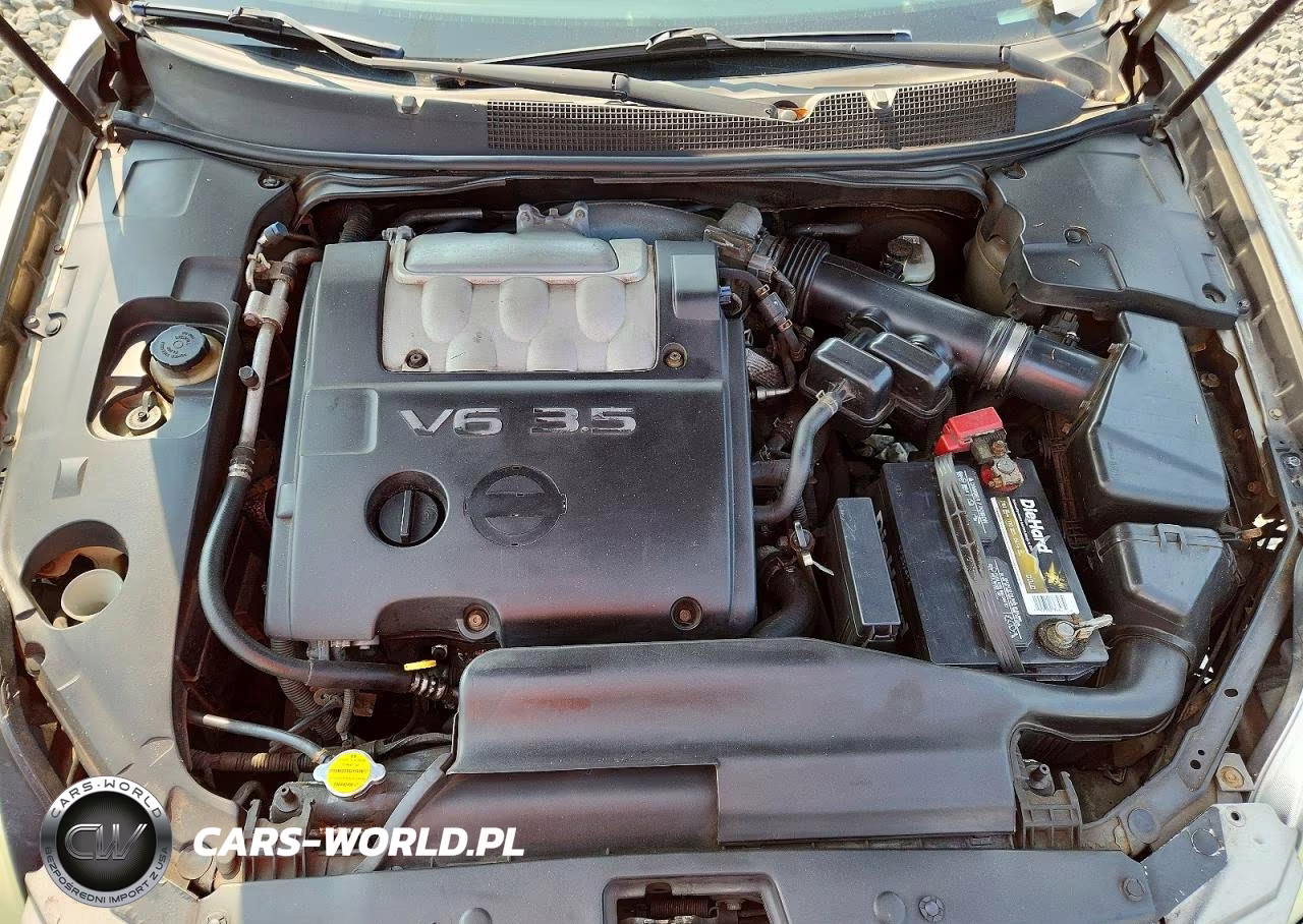 2004 Nissan Maxima 3.5 Se VIN:1N4BA41E74C833893 - 11