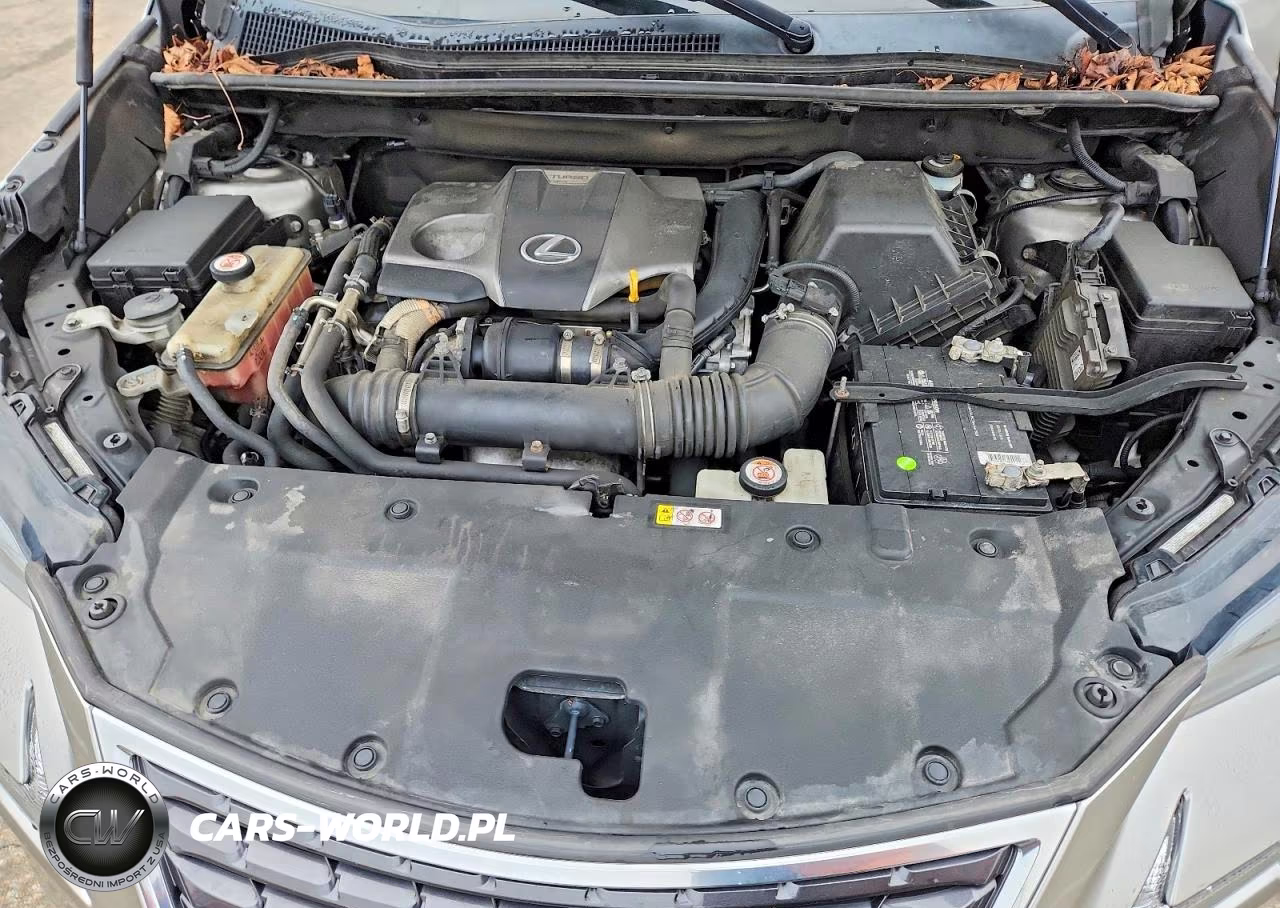 2019 Lexus Nx 300 Base VIN:JTJBARBZ7K2199946 - 12