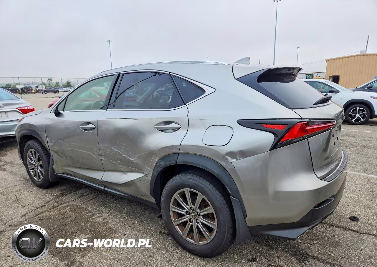 2019 Lexus Nx 300 Base VIN:JTJBARBZ7K2199946 - 2