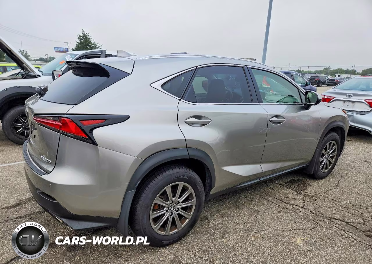 2019 Lexus Nx 300 Base VIN:JTJBARBZ7K2199946 - 3